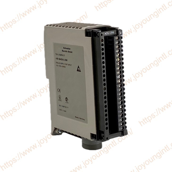 AS-BADU-256 Modicon Compact Anlog Input